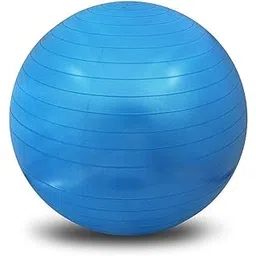 Gym Ball 65 cm Gold Anti-Burst Gym Ball with Foot Pump-picture-18