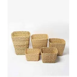 habere india Set of 5 Biodegrable Eco Friendly Planters Baskets-picture-37