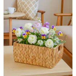 habereindia (1Pc) Beige Water Hyacinth Handmade Storage Basket & Wardrobe Organiser-picture-10