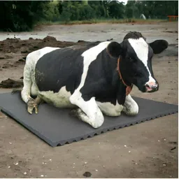 A96Black Cow Mat For all animals, BPA Free, Easy Clean And Waterproof Size 8*5 | Cow, Hamster Pet Mat-image-5