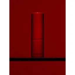 H&M Satin Lcon Lipstick-picture-30