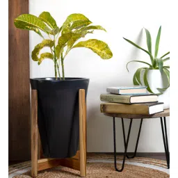 harla arts Love Bite (Large) Black Porcelain Floor Planters With Stand-picture-17