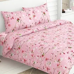 Haus & Kinder Bedsheet,100% Cotton Double Bed Bed Sheet, 186 TC Pure Cotton Bedsheet for Queen Size Bed, Cotton Double Bedsheets with 2 Pillow Covers,SVR-image-4