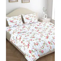 haus & kinder Cotton Bedsheet With 2 Pillow Cover-picture-22