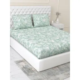 haus & kinder Green & White 186 TC Fitted Cotton Double Queen Bedsheet Set 1.99 m x 1.53 m-picture-21