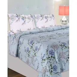 haus & kinder Printed Double Bedsheet with Pillow Covers-picture-24