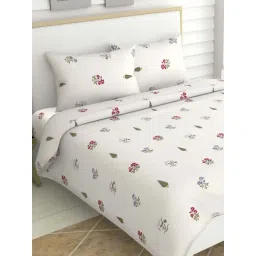 Haus & Kinder White 186 TC Cotton King Bedsheet with 2 Pillow Covers-picture-41