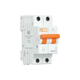 Havells Reo 63A Double Pole C-Curve MCB, DHMXCDPZ063, Breaking Capacity: 6 kA-picture-23