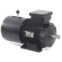 Havells Three Phase 2 HP 2 Pole Brake Motor, MHBY90SAA2-picture-34