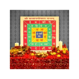 Hawai Gold Toned & Green  Acrylic Wall Photo Frames-picture-31