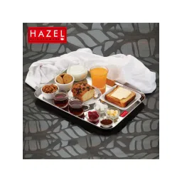 HAZEL Silver Stainless Steel Rectangular Serving Tray - Set of 1-picture-38