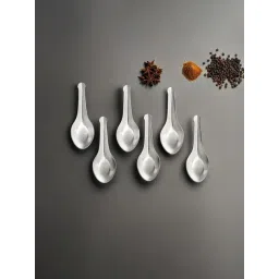 HAZEL Silver Stainless Steel Spice Box Mini Spoons - Set of 6-picture-10