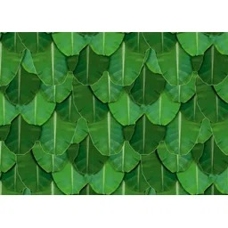 hd plus Banana Life Decoration Traditional Background for All Festival Decoration Curtain Fabric-picture-40