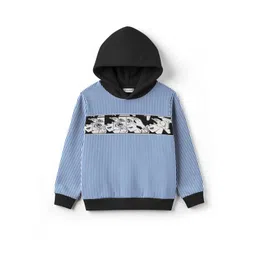 HELLCAT Boys Striped Hooded Pullover Sweatshirt-picture-10