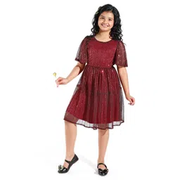 Hola Bonita Flared Sleeve Net Fit & Flare Dress-picture-56