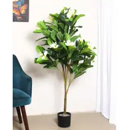 home bloom Artificial Champa & Frangipani Flowers Plants with Pot -picture-13