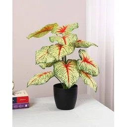 home bloom Artificial Miniature PVC Silk Floor Plant with Big Leaves  -picture-38