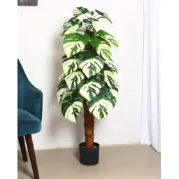 home bloom Artificial Monstera Plant with Pot for Interior Decor -picture-43