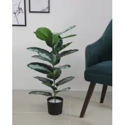 home bloom Artificial Tropical Dieffenbachia Camille Plant -picture-23