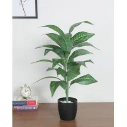 home bloom Polyester Artificial Iceton Croton Plant Ornamental Plant -picture-44