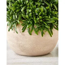home centre Artificial Plant With Pot  image 5
