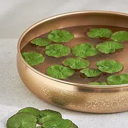 Home Centre Gloria Hover Set of 30 Fabric Floating Lotus Leaves-image-33