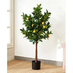home centre Artificial Lemon Tree with Pot-picture-16