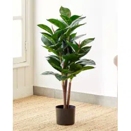 home centre Artificial Oak Tree in Polypropylene Pot-picture-37