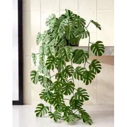 home centre Artificial Plant with Plastic Pot-picture-42