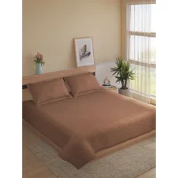 Home Centre Beige & Brown Solid Polycotton 3 Piece Double Queen Fine Bedding Set-image-30