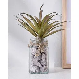home centre Corsica Tricia Artificial Succulent in Glass Jar-picture-19