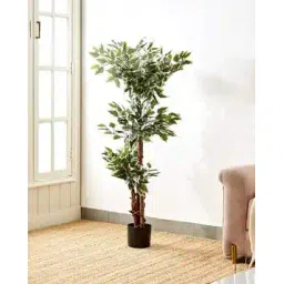 home centre Gardenia Ville Artificial Ficus Tree in Pot - 125cm-picture-39