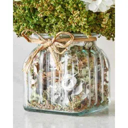 home centre Natural Dried Flowers in Glass Jar image 3
