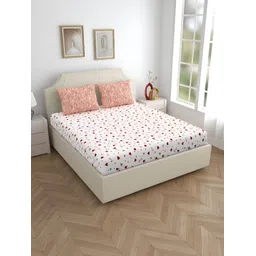 Home Ecstasy Peach & White 140 TC Cotton Fitted King Bedsheet with 2 Pillow Covers-picture-19