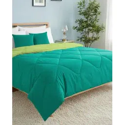 homemonde Reversible Double Bed Comforter-picture-29