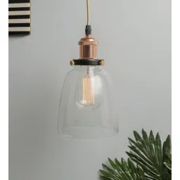 homesake Adelphia Transparent Glass Hanging Light-picture-10