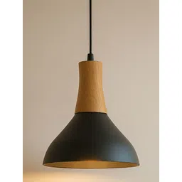 Homesake Black & Black Ceiling Lamp-picture-21