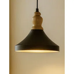 Homesake Black & Black Ceiling Lamp-picture-31