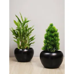 Homesake Black Metal Flower Pot - Set of 2-picture-17