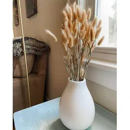 homesake Bunny Tails Dried Flower Dried Pampas Bouquet-picture-53