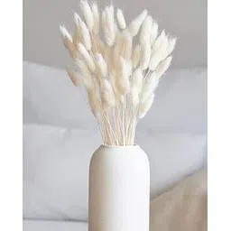 homesake Dried Flower Boho Decor-picture-51