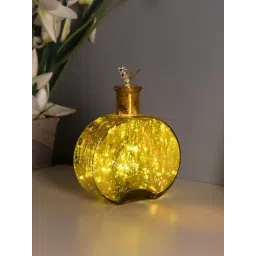 Homesake Golden Glass Mercury Round Bottle Star String Lights With Bird Lid-picture-41