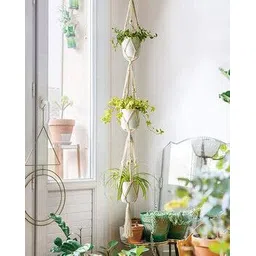 homesake Set of 2 Twisted Macrame Plant Hangers-picture-29