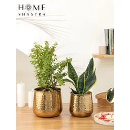 HomeShastra Auric 2-Pcs Brown Hammered Planters-picture-32