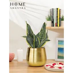 HomeShastra Ved 2-Pcs Brown Hammered Small Planters-picture-19