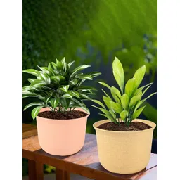 HOMESTIC Pack of 2 Marble Sawera Design 10 Inch Flower Plant Pot with Plate for Home & Garden | Stylish Pots for Balcony | Ideal for Home Decor & Office Spaces | Beige & Peach-picture-28