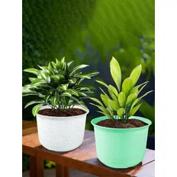 HOMESTIC Pack of 2 Marble Sawera Design 10 Inch Flower Plant Pot with Plate for Home & Garden | Stylish Pots for Balcony | Ideal for Home Decor & Office Spaces | White & Green-picture-30