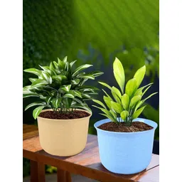 HOMESTIC Pack of 2 Marble Sawera Design 10 Inch Flower Plant Pot with Plate for Home & Garden | Stylish Pots for Plants Balcony | Ideal for Home Decor & Office Spaces | Blue & Beige-picture-37