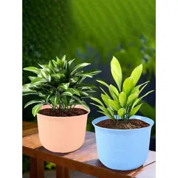HOMESTIC Pack of 2 Marble Sawera Design 10 Inch Flower Plant Pot with Plate for Home & Garden | Stylish Pots for Plants Balcony | Ideal for Home Decor & Office Spaces | Blue & Peach-picture-35