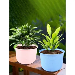 HOMESTIC Pack of 2 Marble Sawera Design 10 Inch Flower Plant Pot with Plate for Home & Garden | Stylish Pots for Plants Balcony | Ideal for Home Decor & Office Spaces | Blue & Pink-picture-36